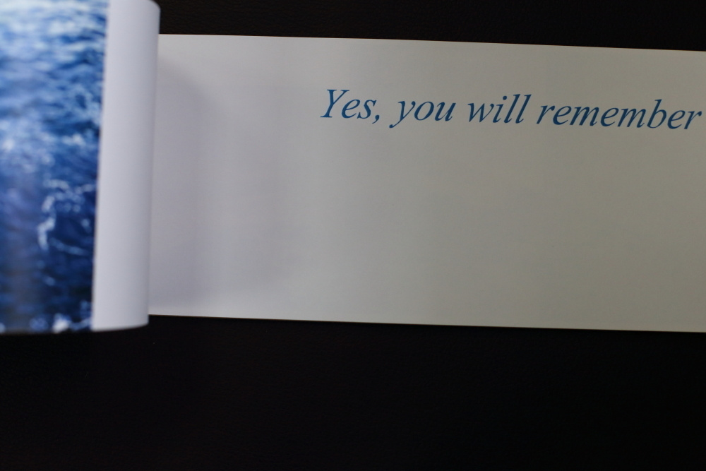 SHIPWRECKED. Ekaterina Vasilyeva photographer