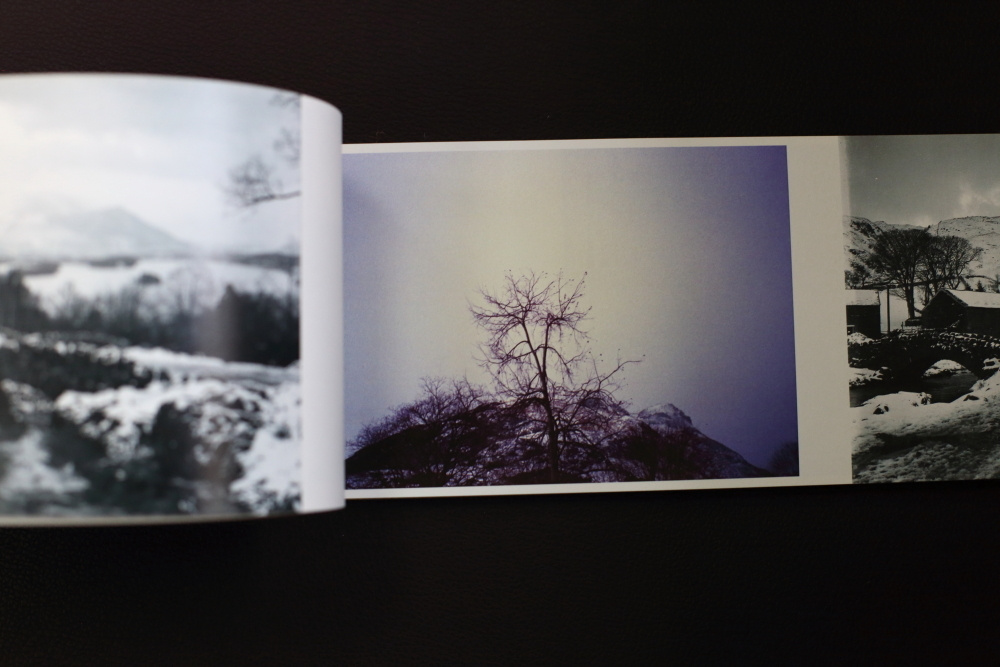 SHIPWRECKED. Ekaterina Vasilyeva photographer