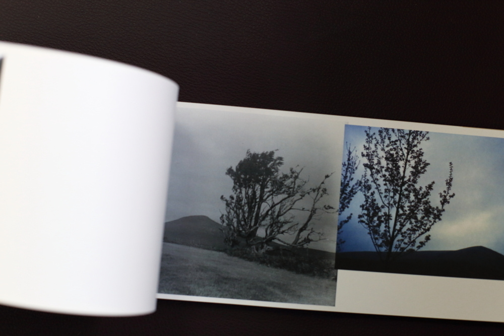 SHIPWRECKED. Ekaterina Vasilyeva photographer