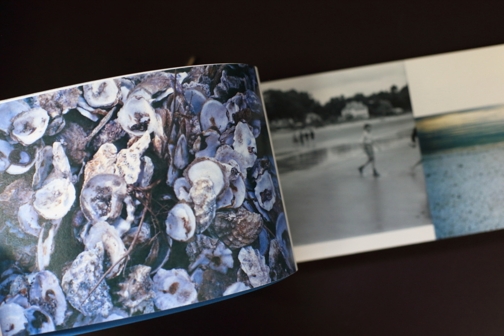 SHIPWRECKED. Ekaterina Vasilyeva photographer