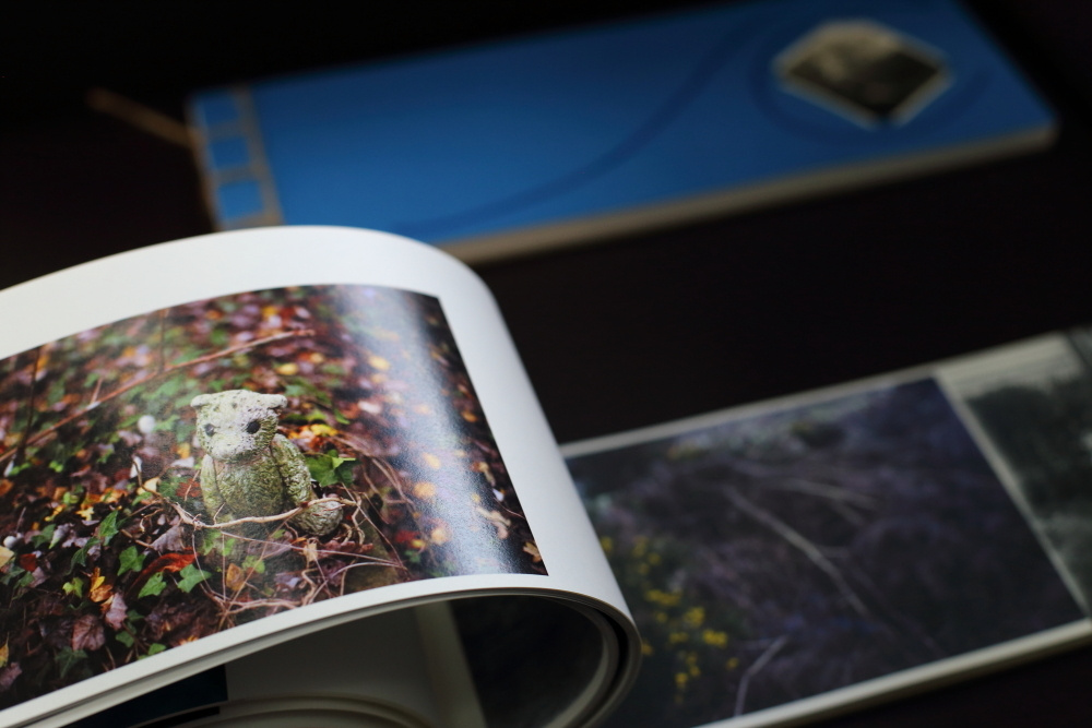 SHIPWRECKED. Ekaterina Vasilyeva photographer