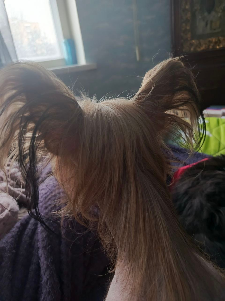 Poale Ell Vera - самые красивые уши