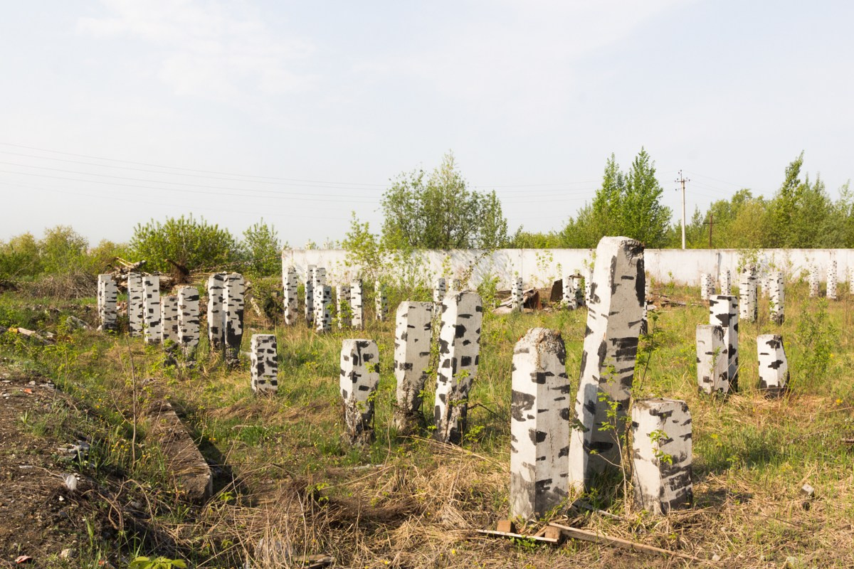 Birch people. Янина болдырева Yanina Boldyreva