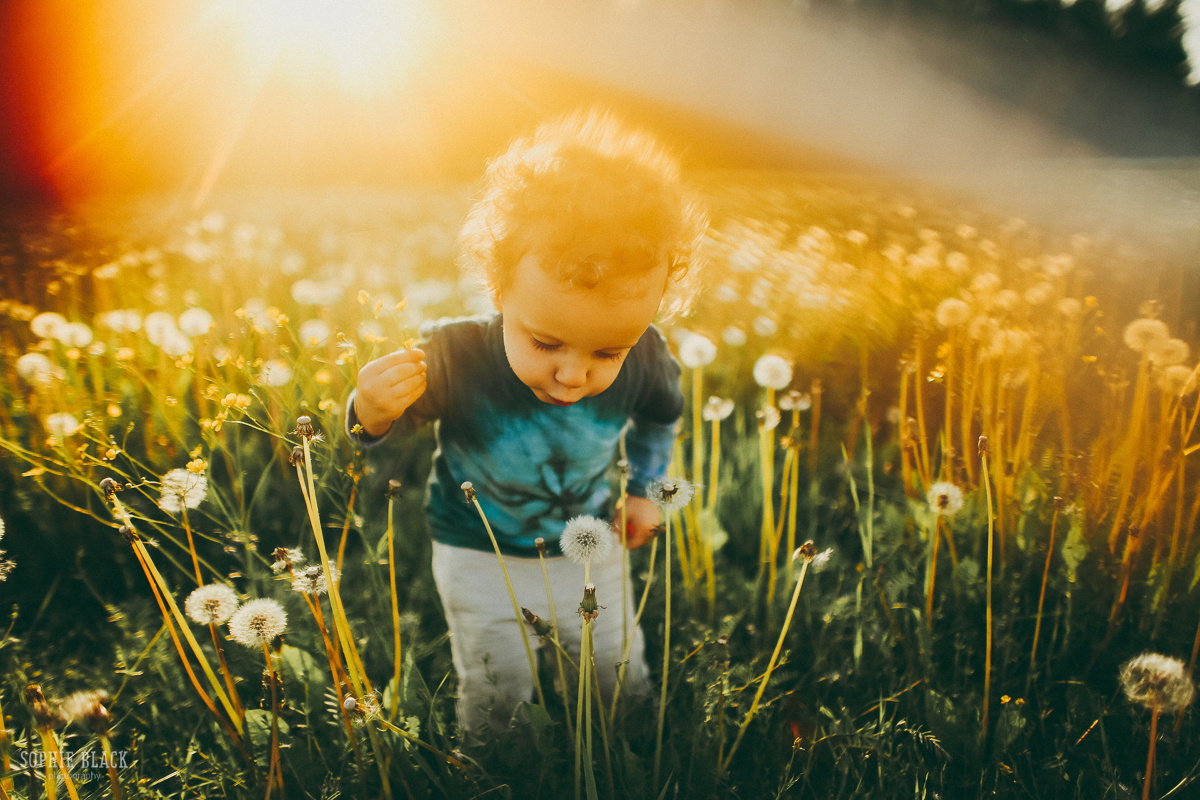 Ты мои крылья. Соня Черных (sophieblack)