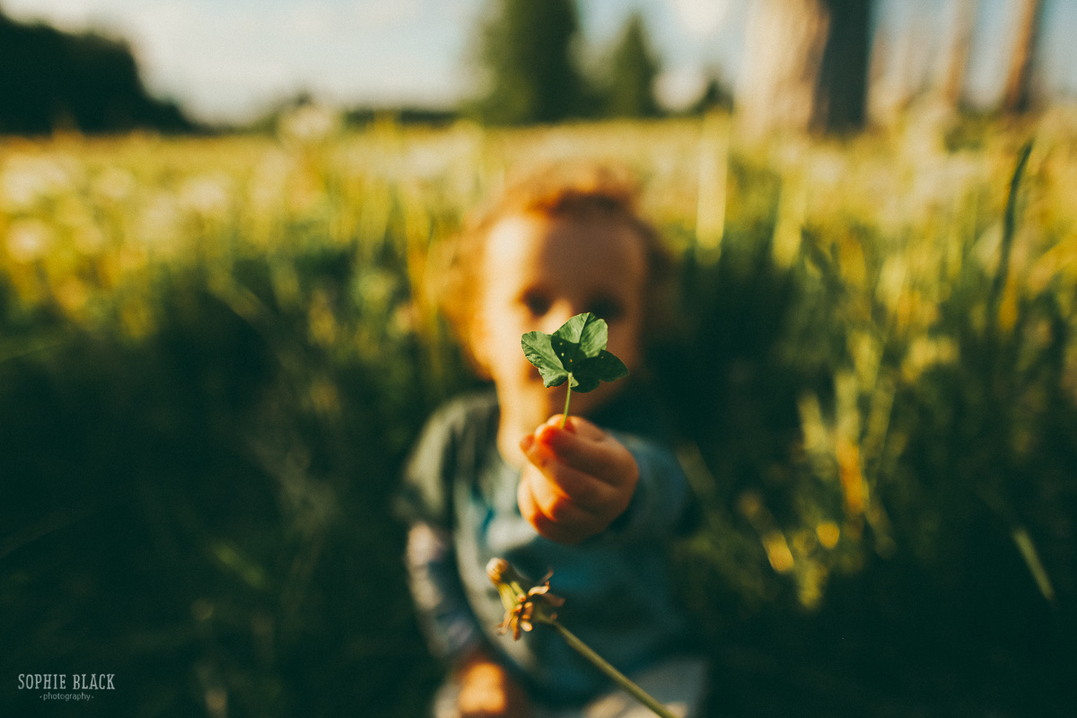 Ты мои крылья. Соня Черных (sophieblack)