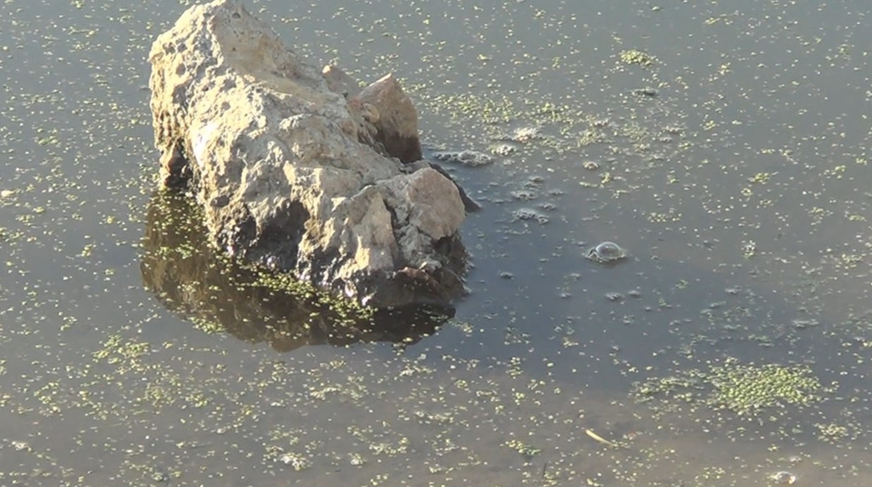 Очищение. Artist Oleg Semenovykh