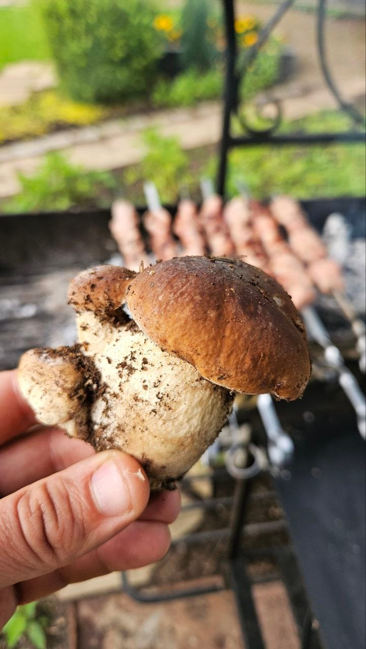 Занятия по рисованию. Изостудия «Мы рисуем!» ♥ Южное Бутово, Москва