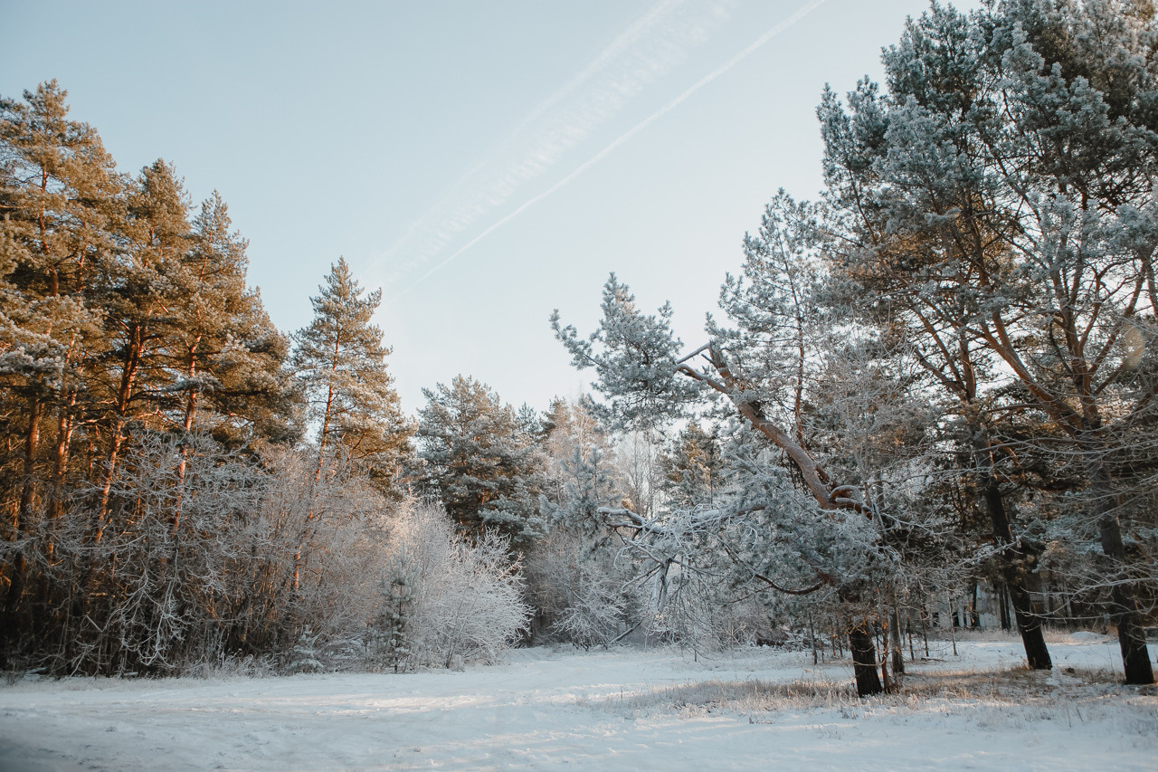 Алиса, Вика и Денис. Семейный и свадебный фотограф в Нижнем Новгороде