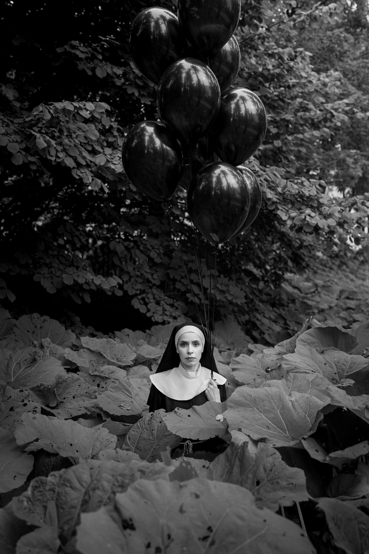 Лопухи. Фотограф Сергей Танков