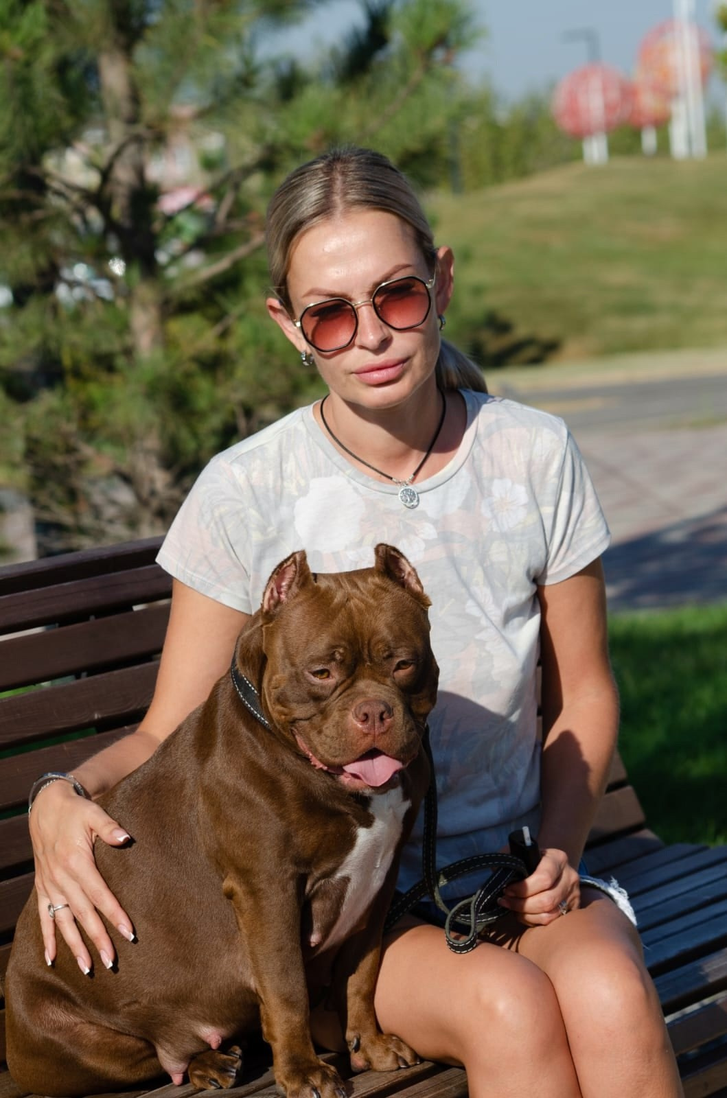 Высокопородные щенки американского булли из питомника в Краснодаре 