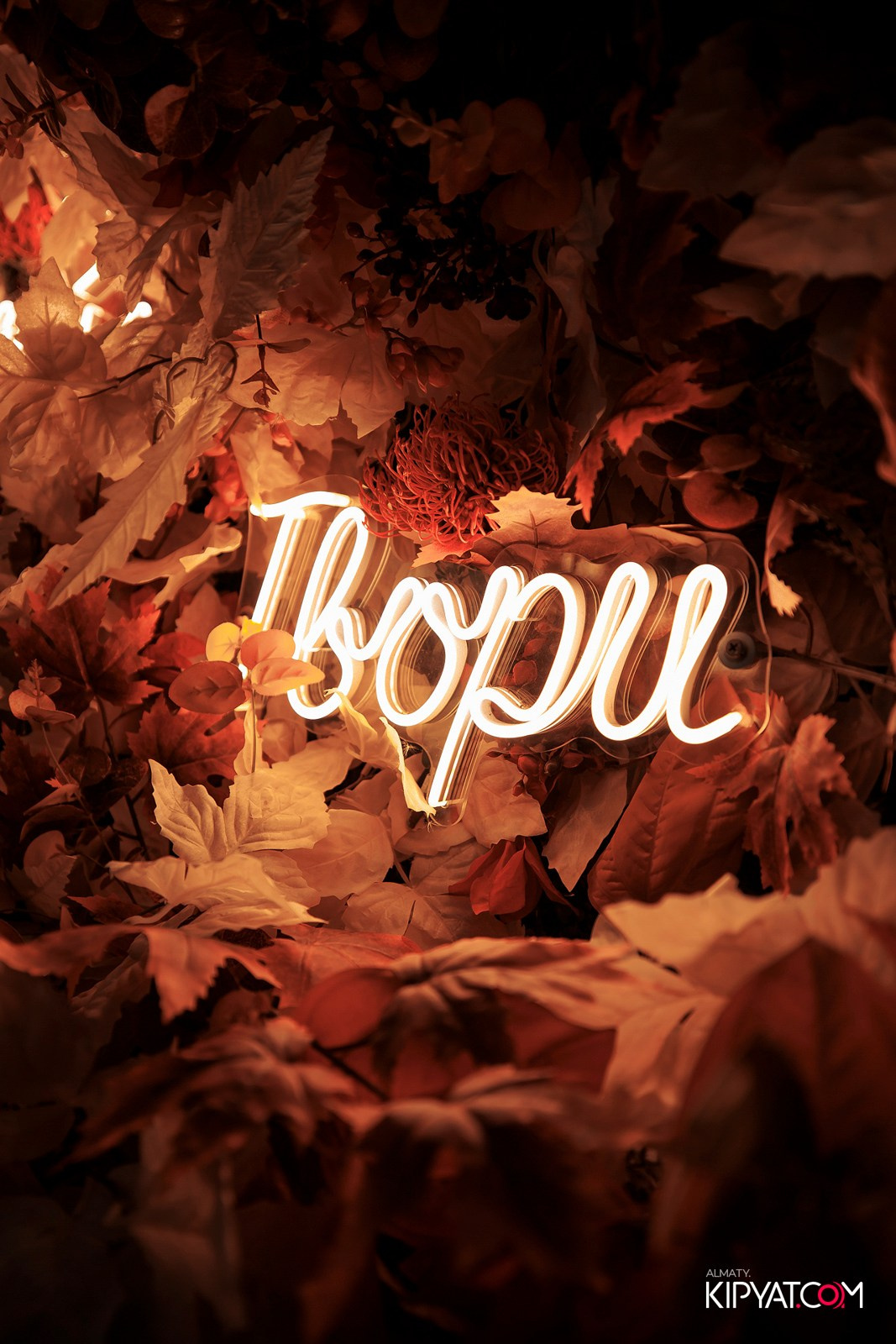 УХО И МЕДВЕДЬ НА КУРМАНГАЗЫ. КИПЯТКОМ АЛМАТЫ!