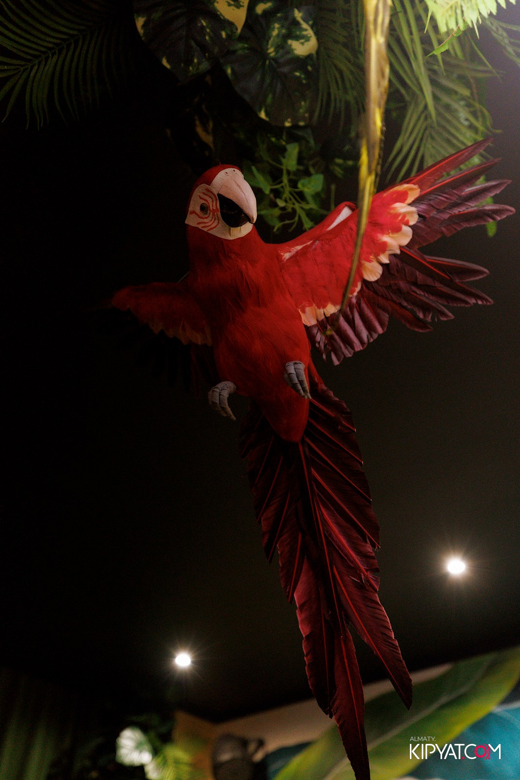 ДОРОГАЯ. Я НЕ ПИЛ. КИПЯТКОМ АЛМАТЫ! Фотосъемка мероприятий в Алматы