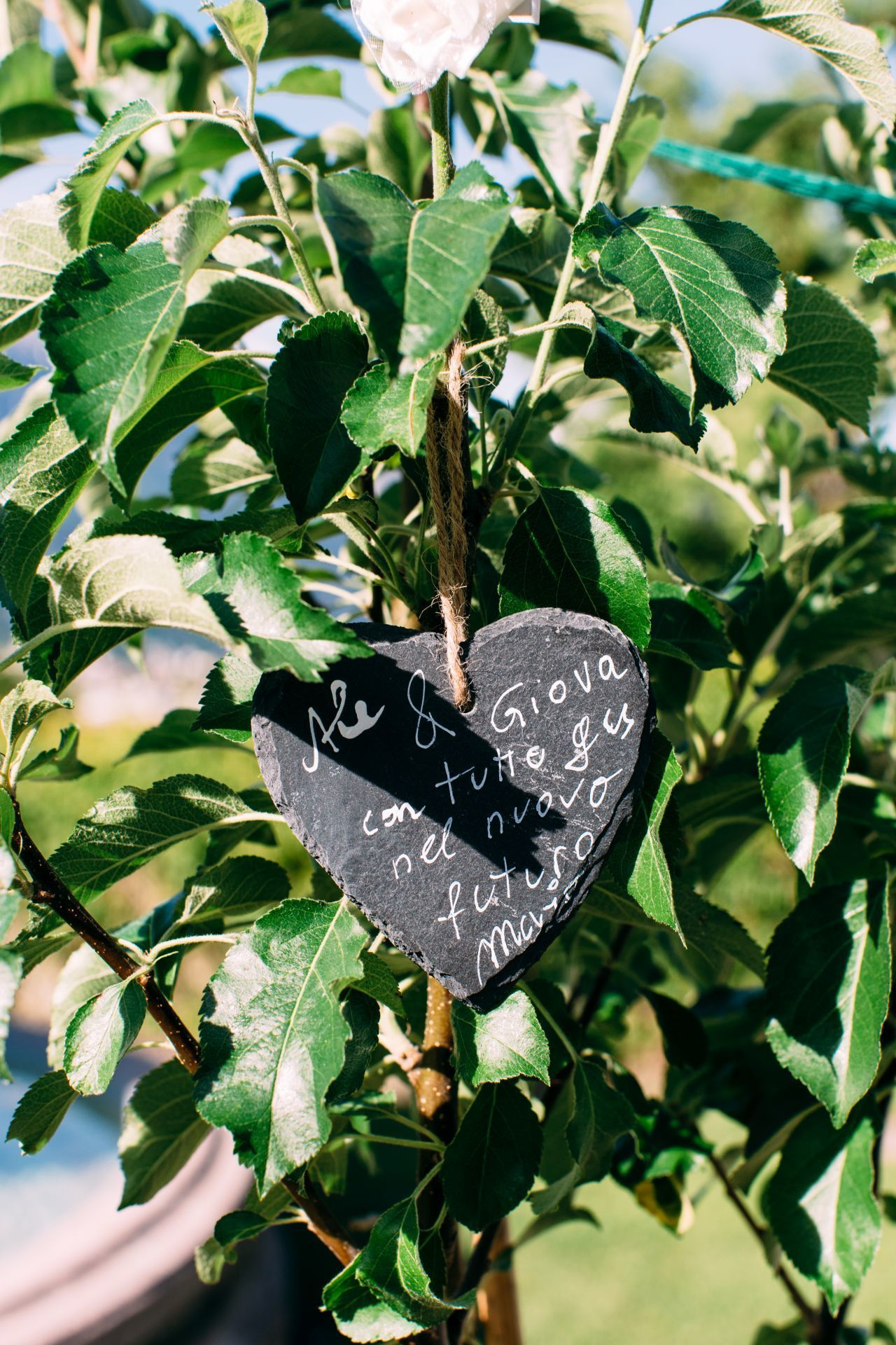 Wedding in Innsbruck. Valeria Coconova Photographer Italy Como Milan