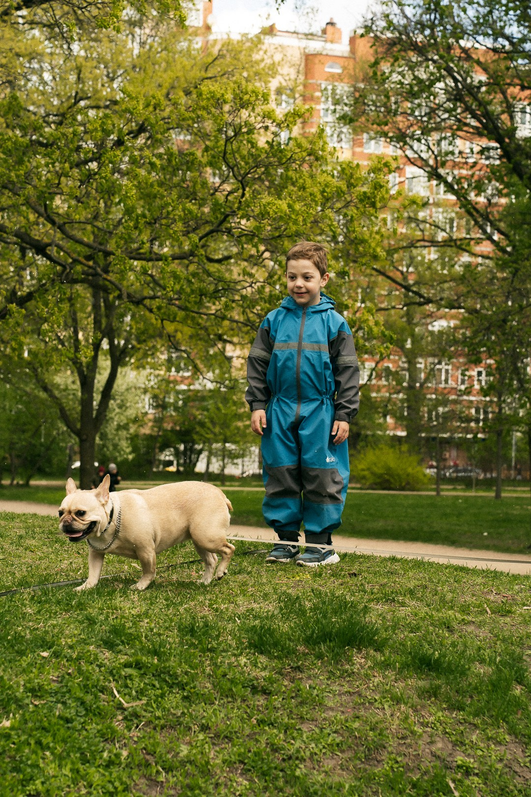 Парад Бульдогов. Axenov_eugene