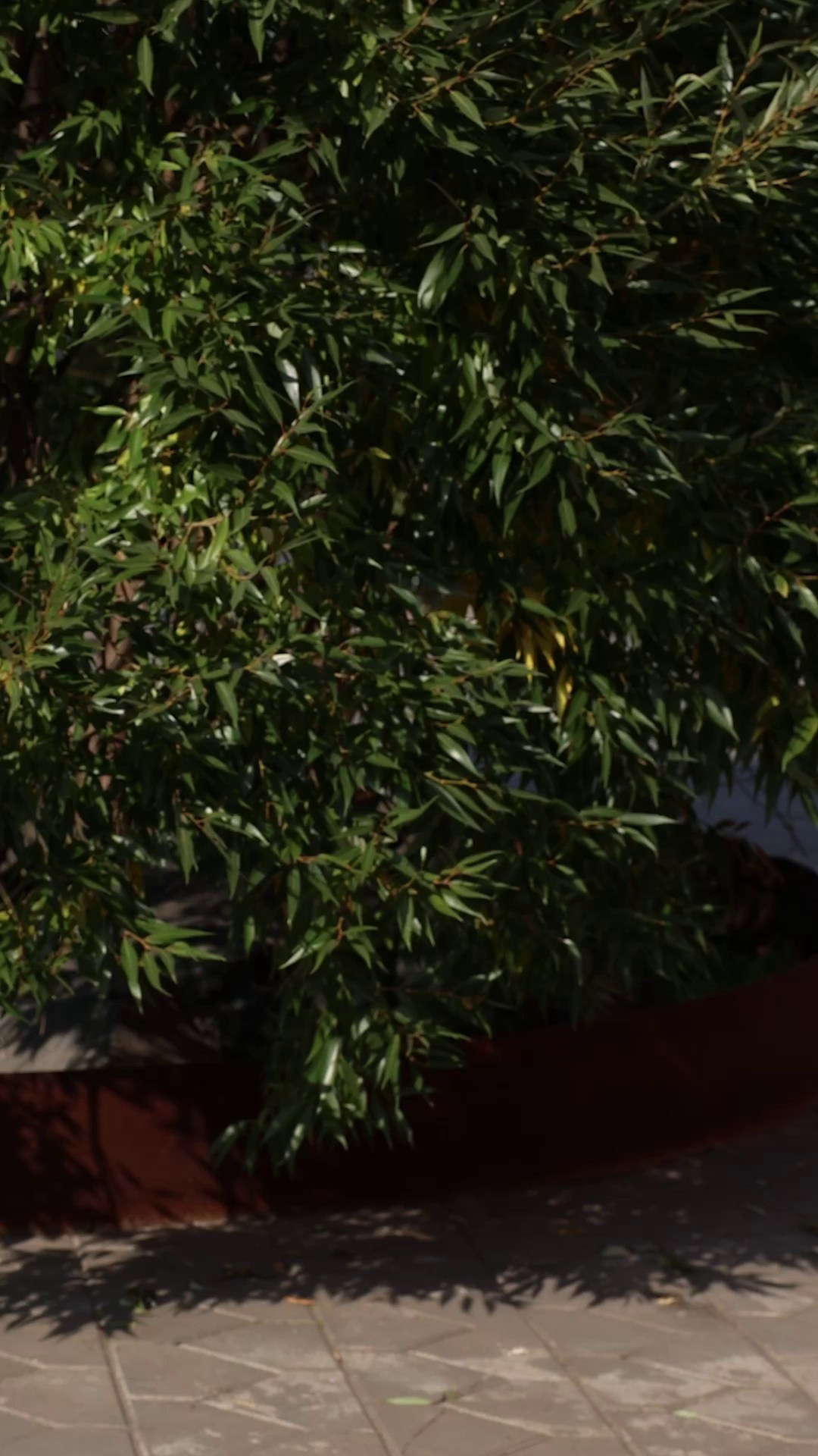 Видеообзоры. IDeAI studio