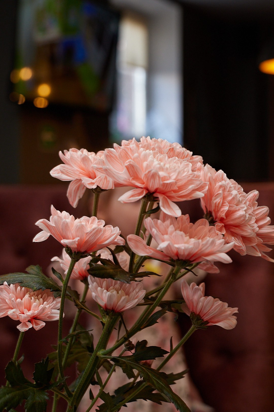 День Рождение Софии в «Пицца Фабрика». Фотограф Никонова Софья