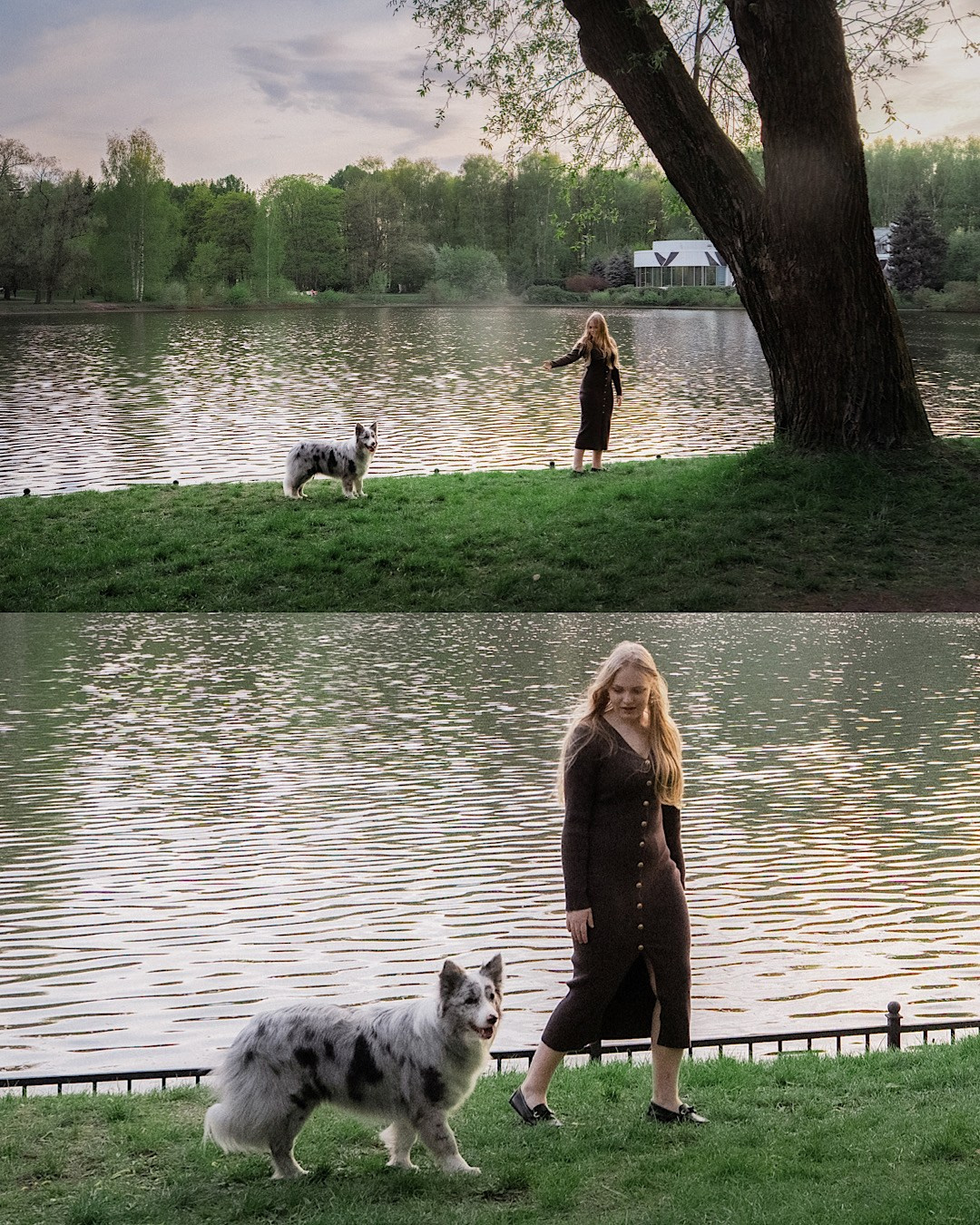 Света, Катрин, Умка. Фотограф анималист в Москве и Санкт-Петербурге Свиридова Анна