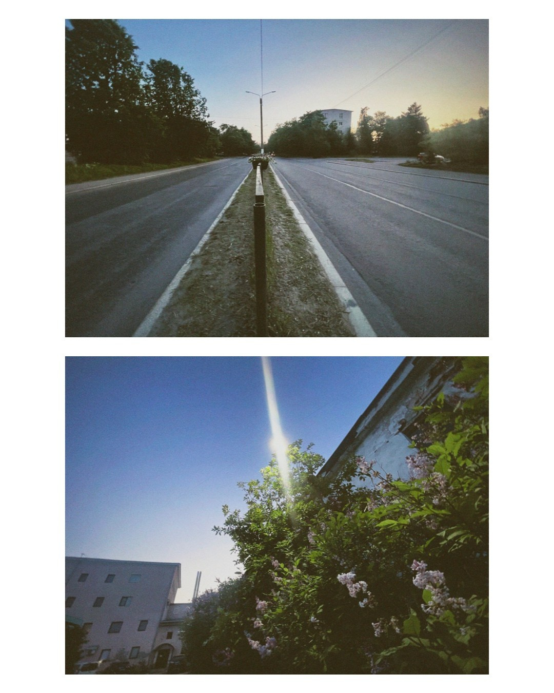 Vyborg. Alina Panover