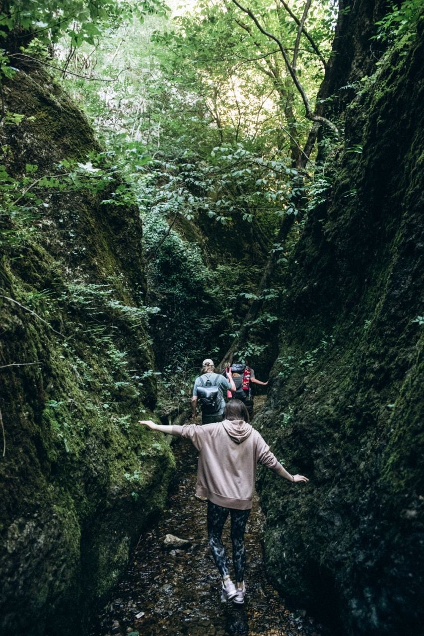 Биртвиси, Грузия 🇬🇪 «Honey Trip». Anita_photo