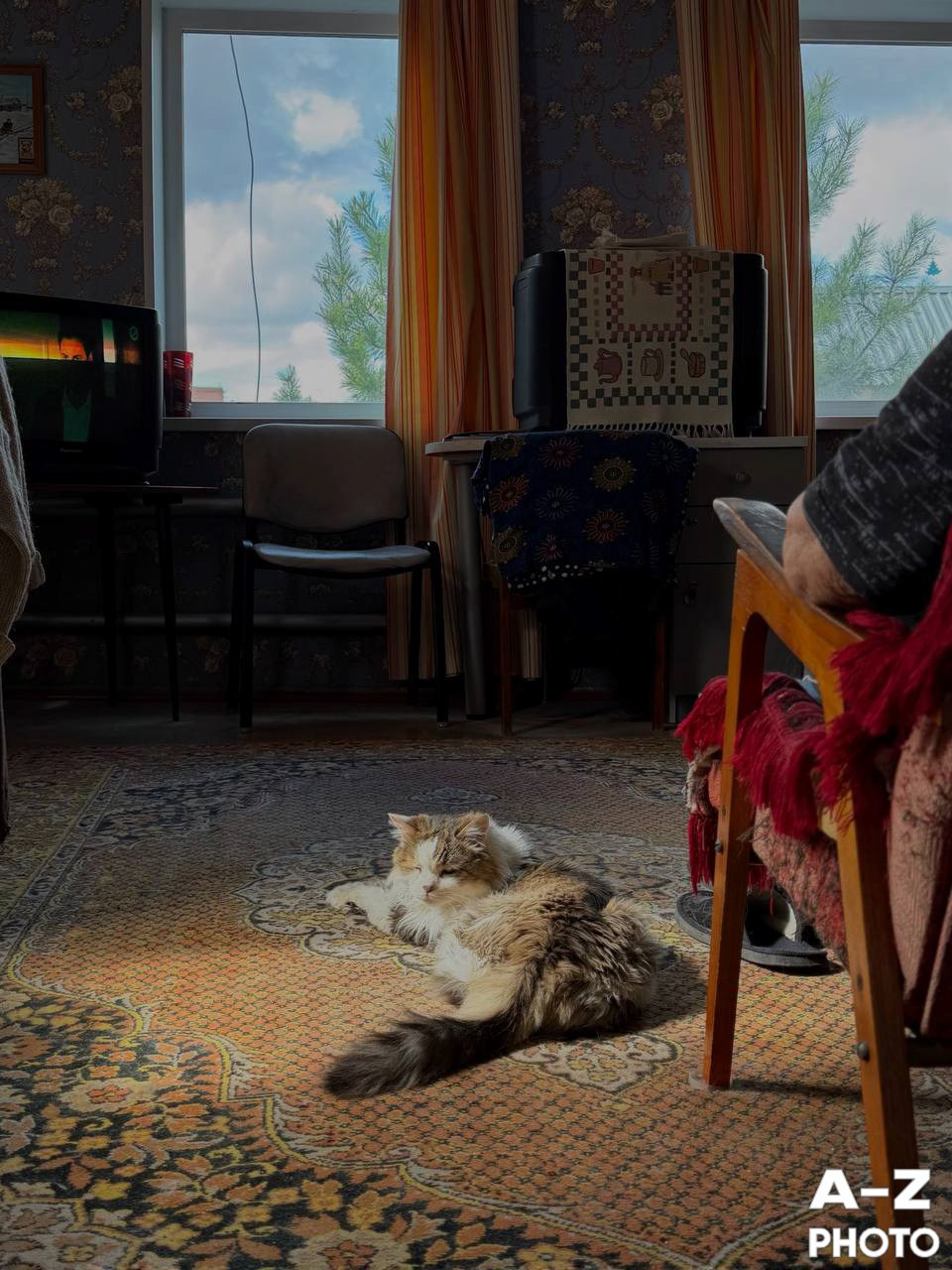 #ФОТОНЕДЕЛИ 13.04.2026. Женский семейный фотограф Тула Москва Захарова Анна