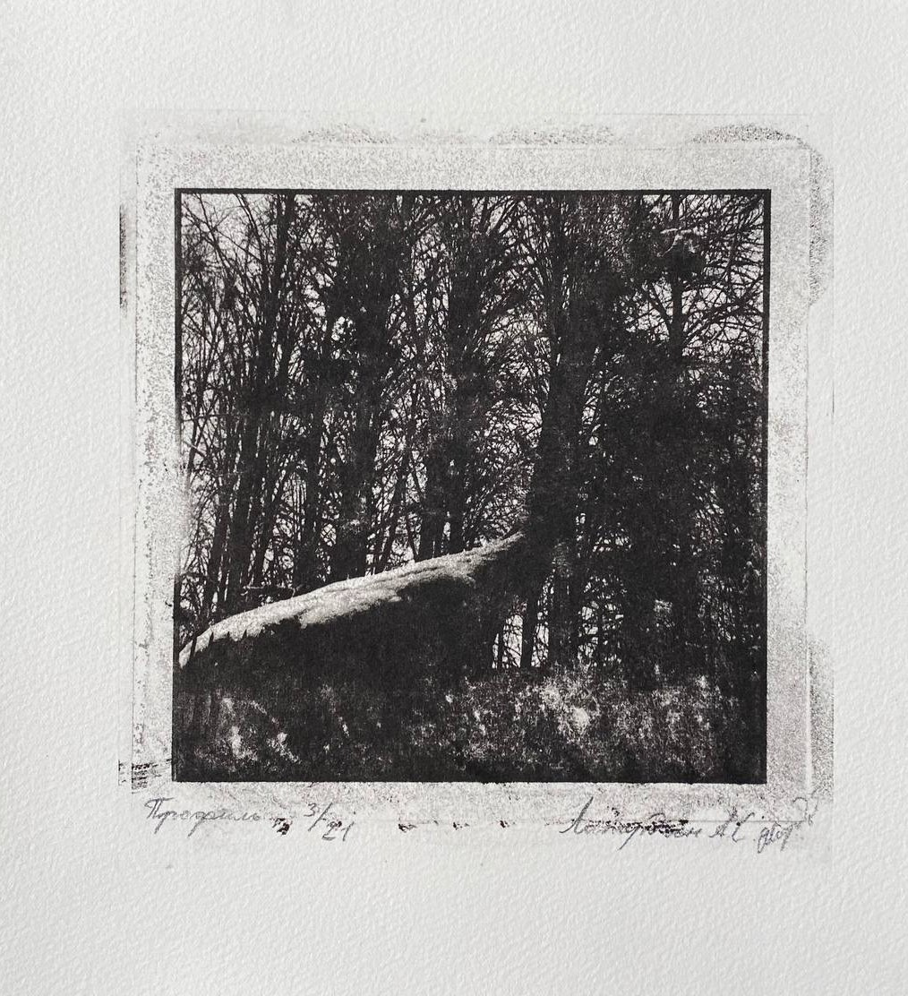 Работы. Об авторе