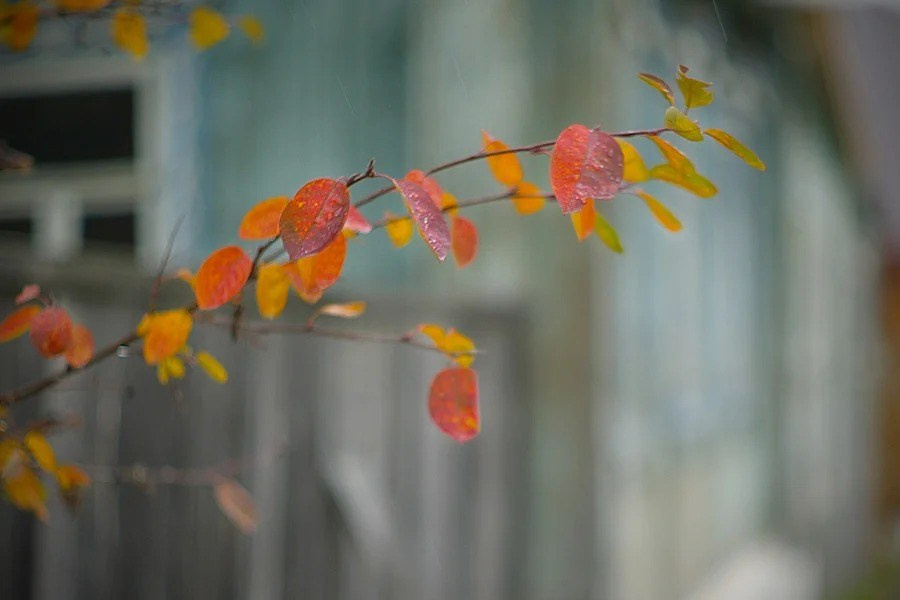 Путешествия. Фотограф Ирина Абзалова