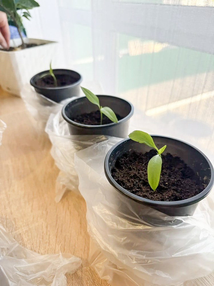 Мастерская. Семейный клуб «Свой Дом»