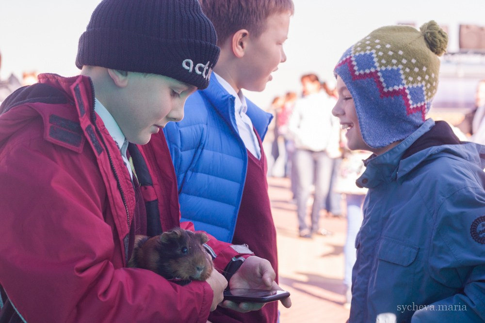 Ярмарка талантов. Детский и семейный фотограф, фотограф мероприятий Нижний Новгород
