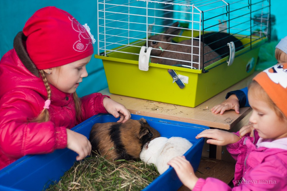 Ярмарка талантов. Детский и семейный фотограф, фотограф мероприятий Нижний Новгород