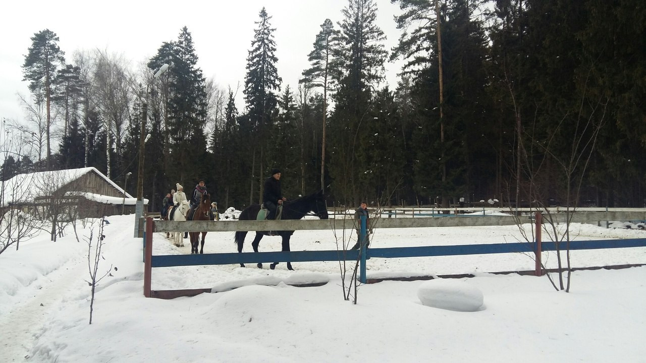Активные выходные |18-19.02.2017. Галерея Фантим