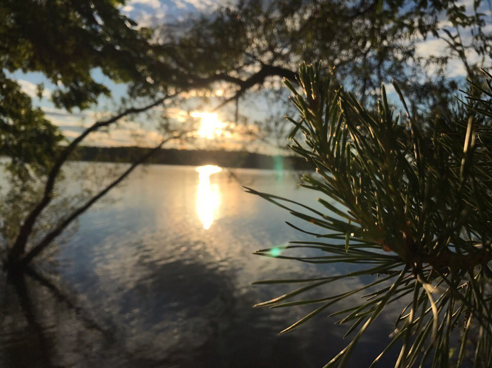 Походная романтика 22! Новый год и не тра-та-та-та… | 23-25.06.2017. Галерея Фантим