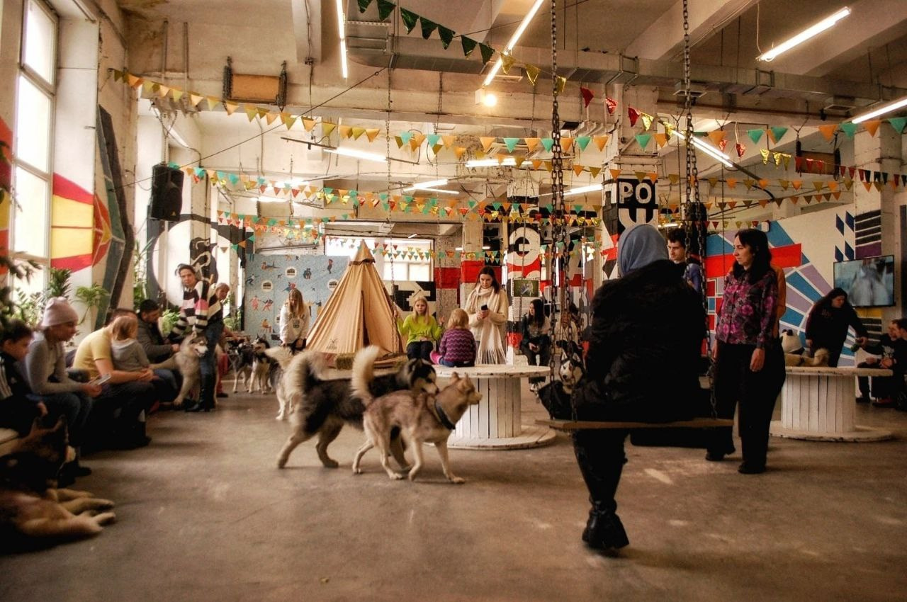 Этажи, маленький репортаж «Хаски». Репортажный и портретный фотограф / видеограф (СПБ)