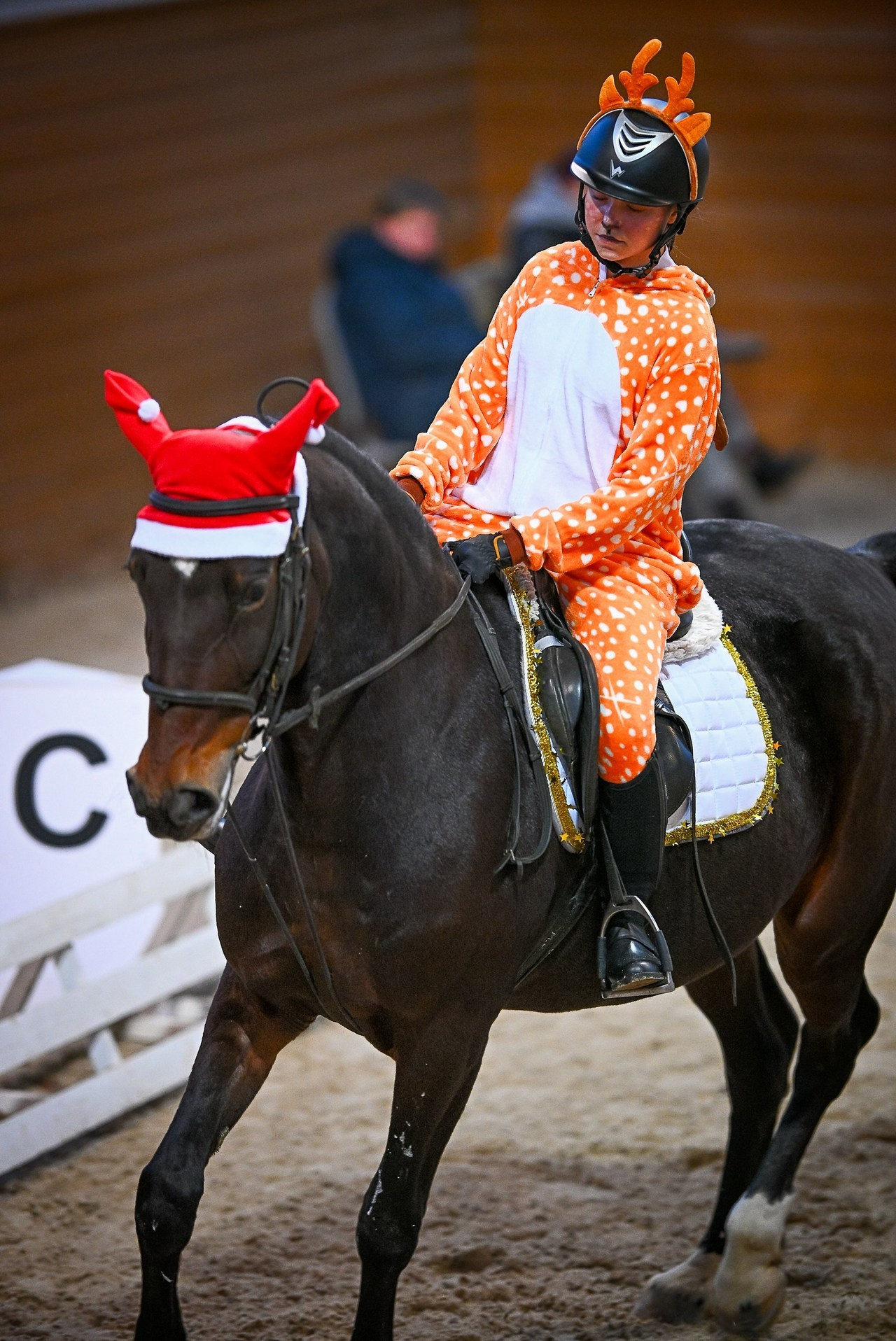 Отзывы. ТУРНИРНАЯ КОННАЯ ФОТОГРАФИЯ, Руднева Ольга и Евгений Адеев