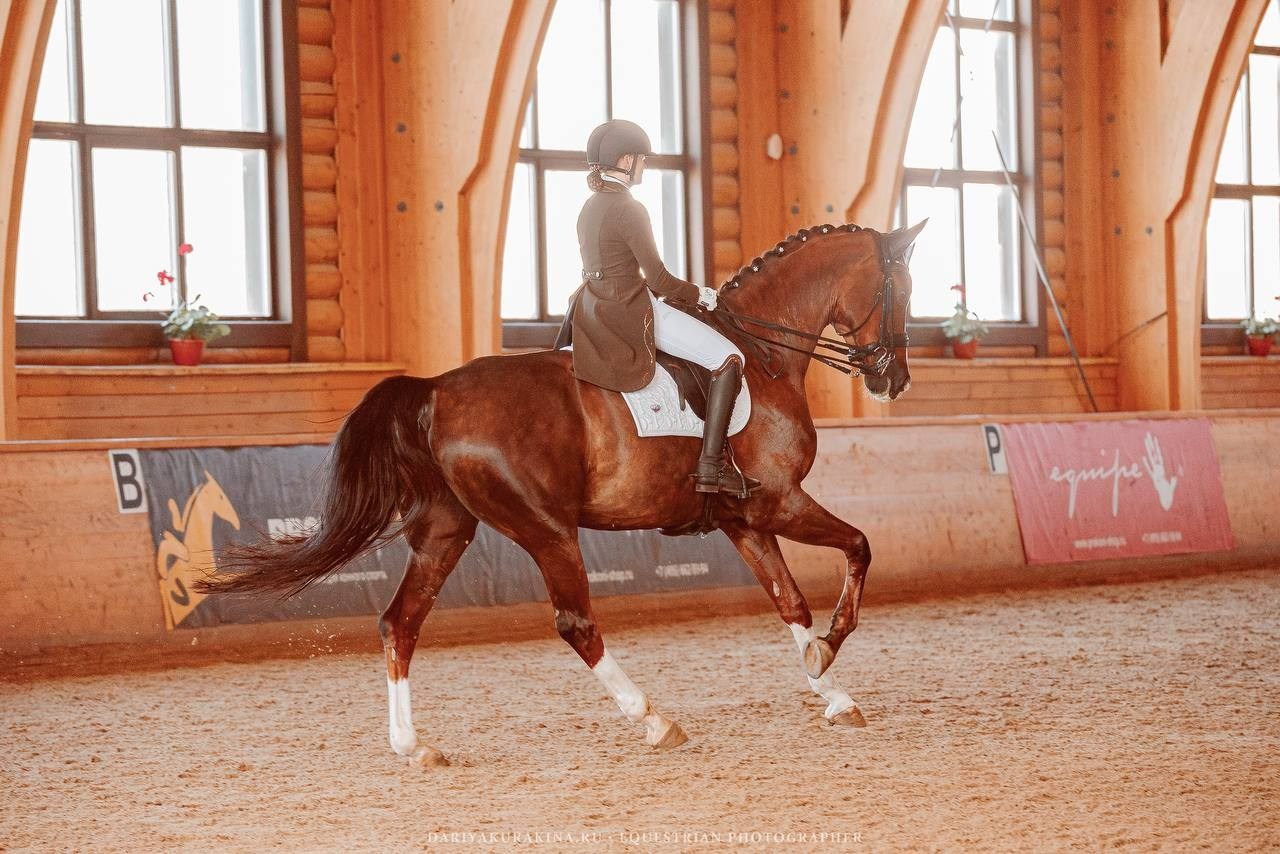 СОРЕВНОВАНИЯ КУБОК КСК «ПЕГАС» ПО ВЫЕЗДКЕ. Куракина Дарья • Конный фотограф