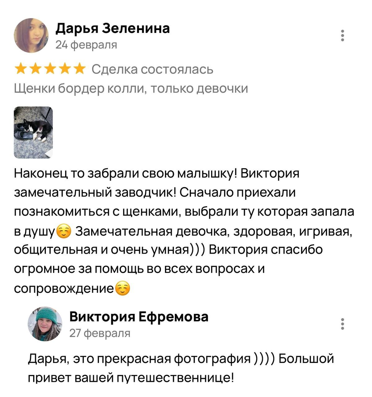 Фритсвит. Семейный фотограф Ефремова Виктория