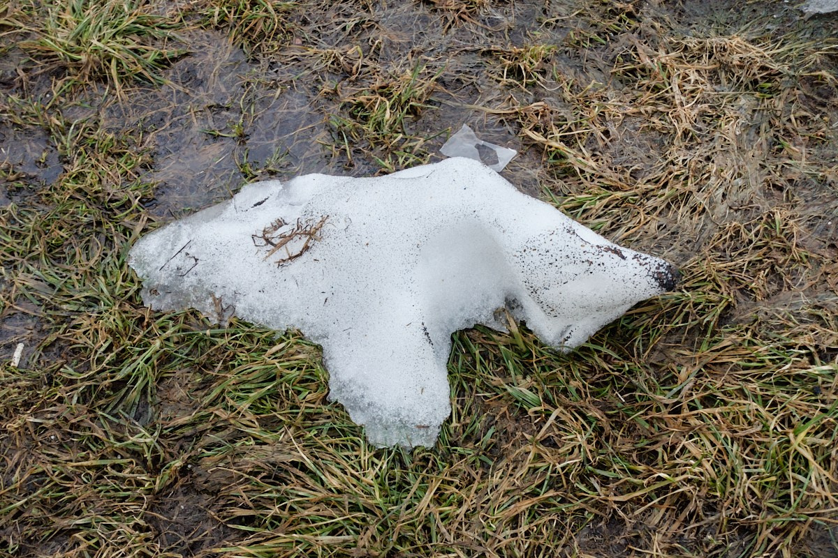 Слово, в котором стерли одну букву. Иван Кобяков