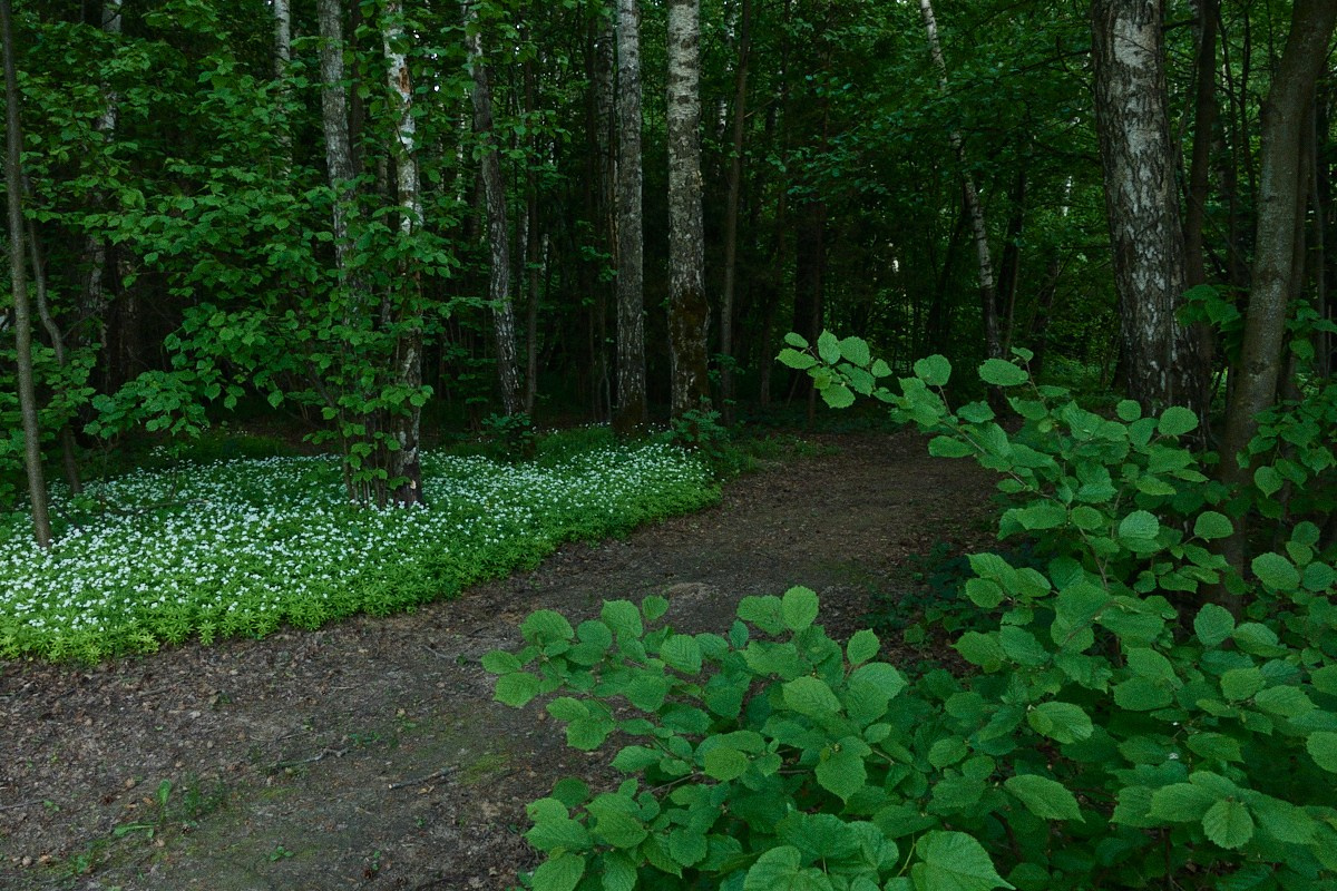 Окна 25. Иван Кобяков