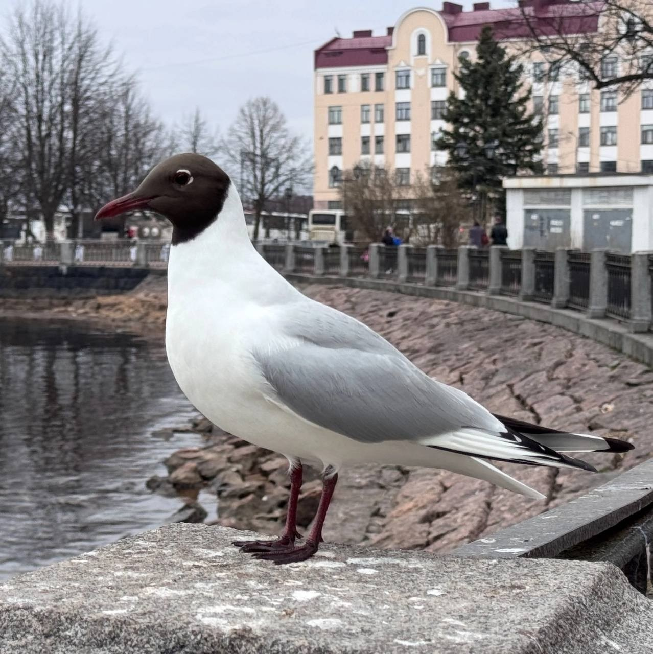 КИНО-ПОРТРЕТЫ УФА