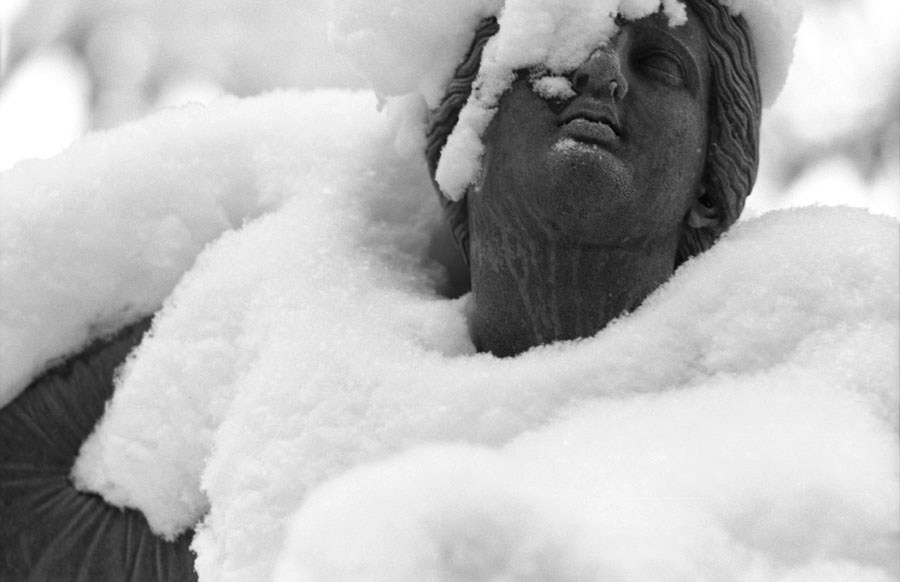 Those. Елена Цихон художник фотографии и мастер фото-ДНК