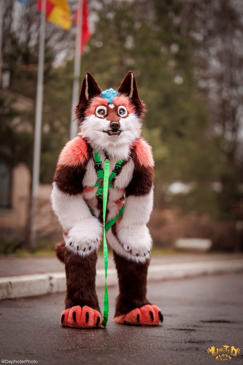 United Furry Convention 2026. Различные мероприятия и просто фотографии людей