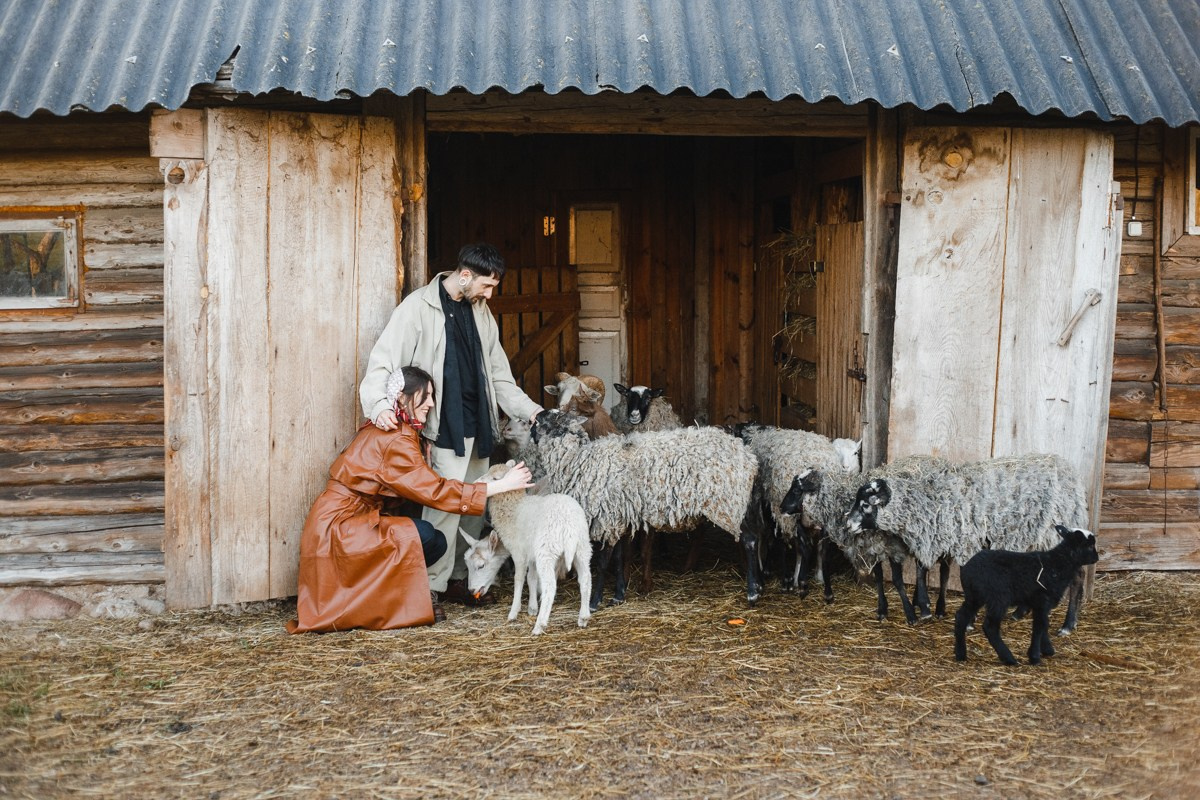 Таня и Илья. Главная