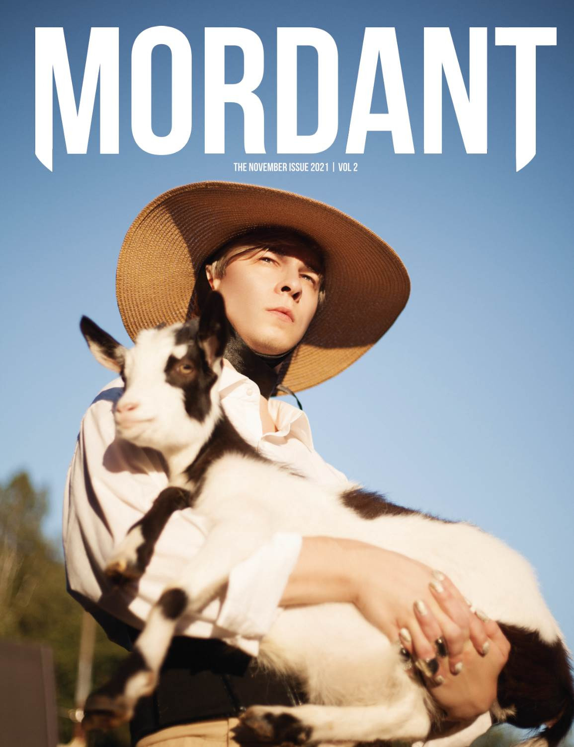 Публикации в журналах. Фотограф Ирина Богатырева