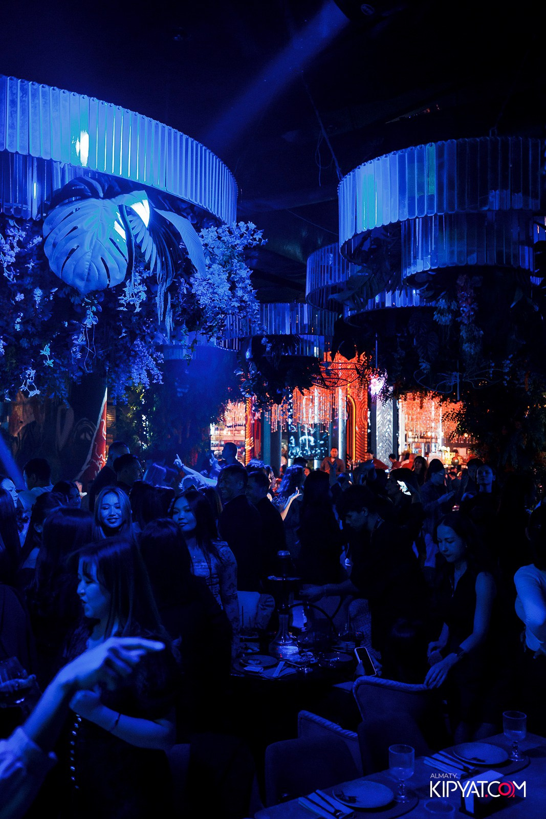 FRIENDS BAR & TERRACE. КИПЯТКОМ АЛМАТЫ!