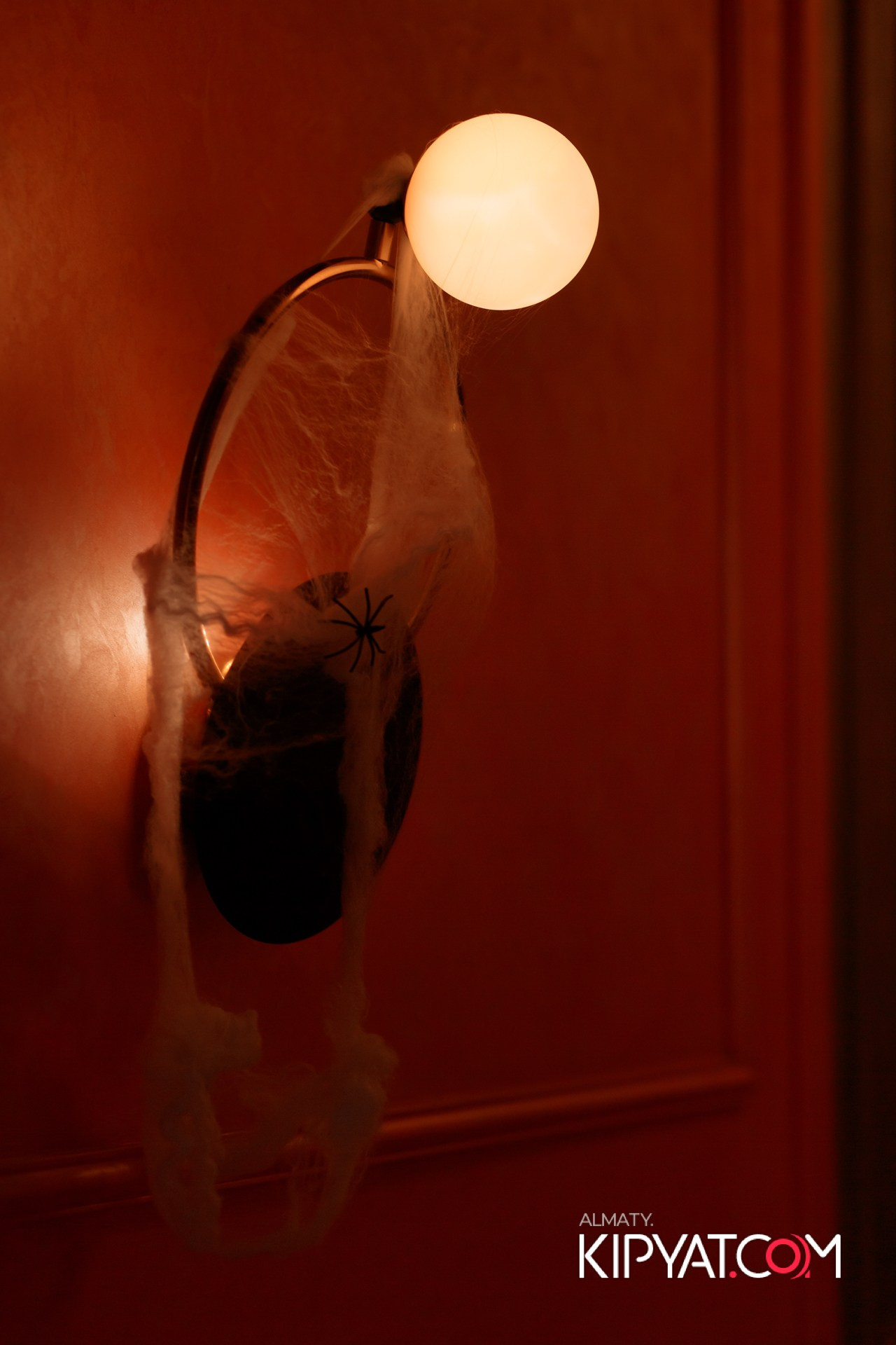 УХО И МЕДВЕДЬ НА КУРМАНГАЗЫ. КИПЯТКОМ АЛМАТЫ!