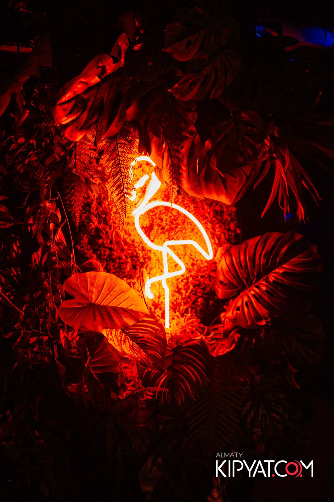 OLOVO BAR НА САТПАЕВА. КИПЯТКОМ АЛМАТЫ!