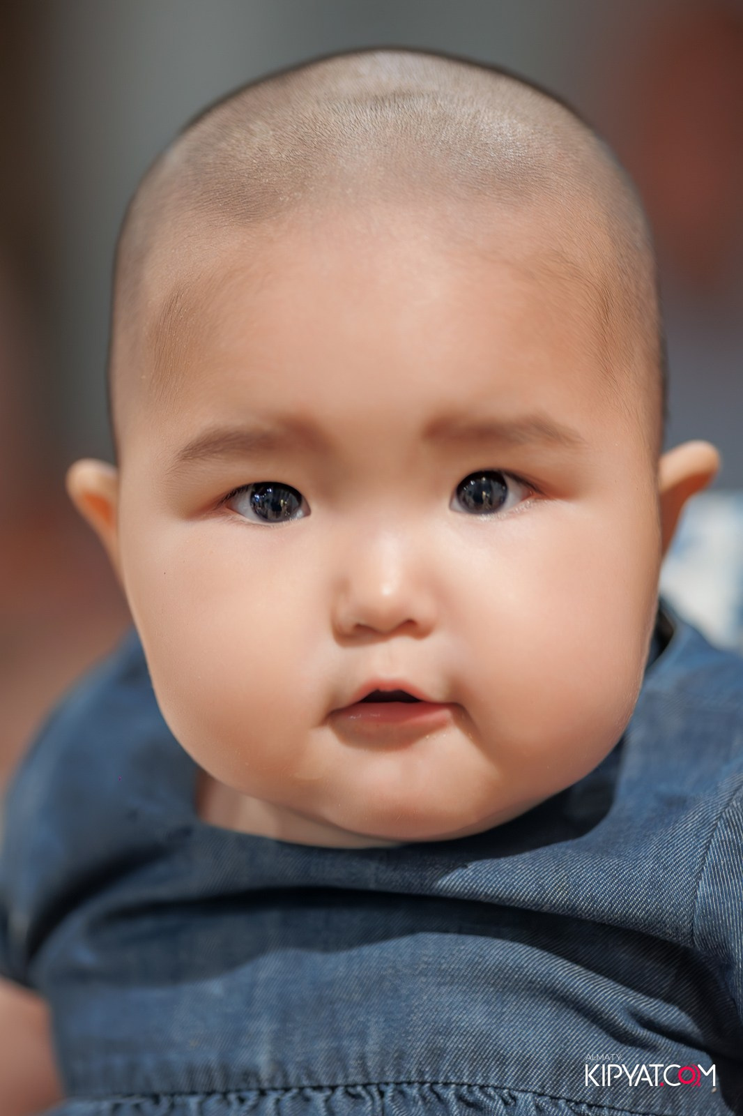 TAIMAN’S FIRST SAFARI. КИПЯТКОМ АЛМАТЫ!