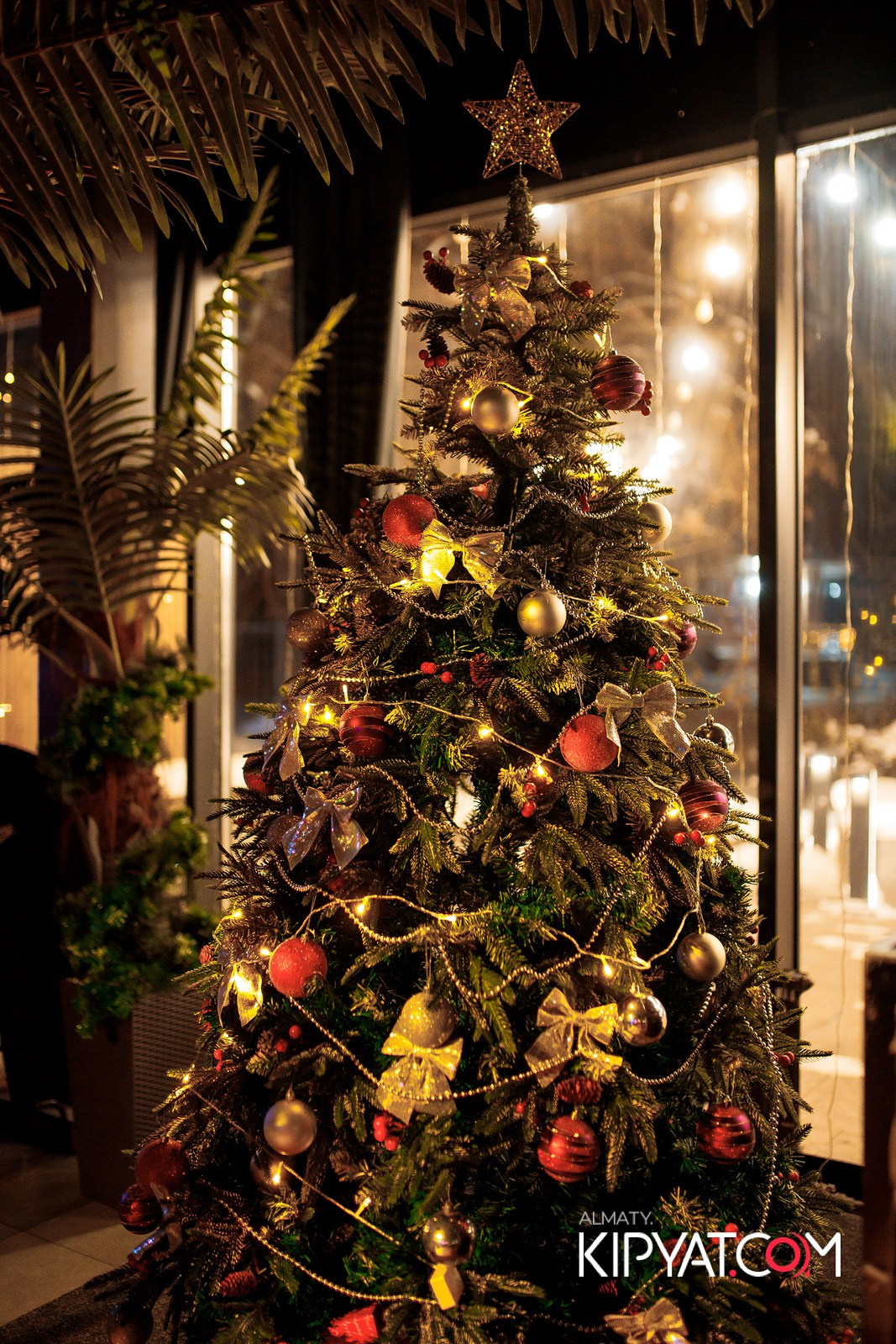 VICE CITY. КИПЯТКОМ АЛМАТЫ! Фотосъемка мероприятий в Алматы