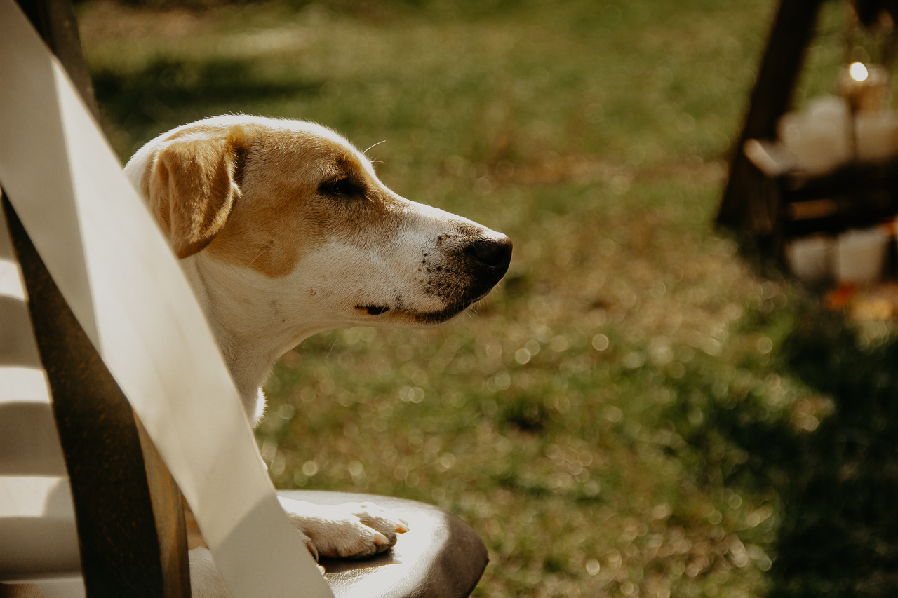 Свадебный фотограф  Сочи. Фотограф в Краснодаре и Краснодарском Крае