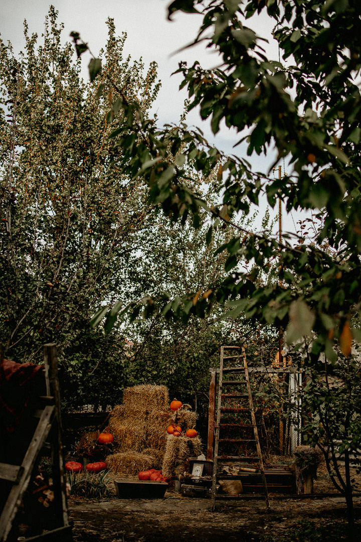 Garden Love in Rostov. Фотограф в Краснодаре и Краснодарском Крае