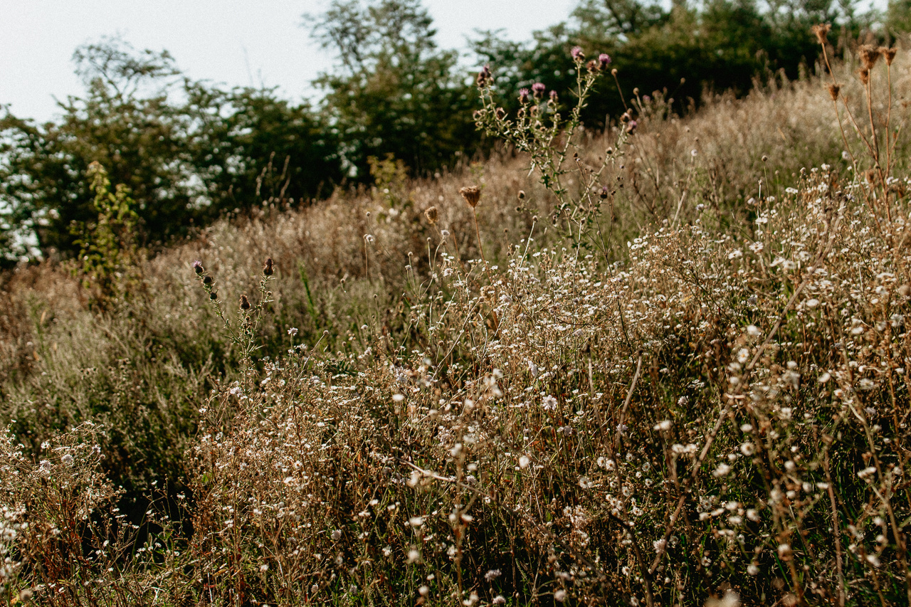 Семейный фотограф Краснодар. Фотограф в Краснодаре и Краснодарском Крае